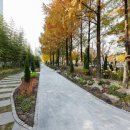 대전시청 이미지