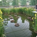 원앙농장 이미지