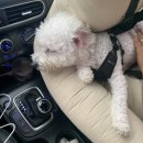 마산가든 이미지