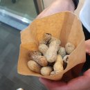 파이브오션 이미지