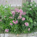 꽃소아청소년과의원 이미지