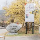 산수유마을 공중화장실 이미지