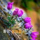 2026년 4월15일 수요일 제주방 출석부 이미지