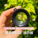 나를 찾아가는 심리 여행 | 경기도 체험 성남 맹산환경생태학습원 교육프로그램 '바라봄'