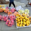 광성교회 앞 이미지