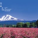 이미개 농장 이미지