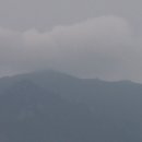 가지산약국 이미지