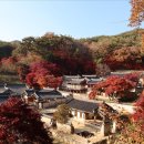 남촌길 이미지