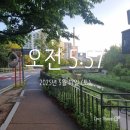 [2025년 서울신문하프마라톤대회 후기]2025년 5월 17(토) 마라톤 대회 10.8km 후기