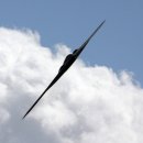 B-2 스텔스 폭격기 이미지