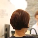 헤어참빗결 이미지