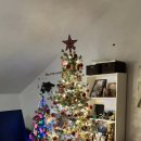 오나민박 이미지