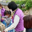 해남동초등학교 정문 이미지