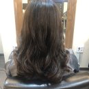 미장원339 이미지