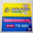[분당 야탑] 어린이수영장 돌핀수영 / 성인강습 3달 후기 (재등록)