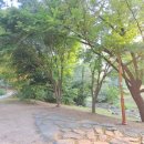 마포, 걷고싶은길 9코스 이미지