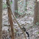 우면산둘레길 | [서울 둘레길] - 우면산 코스 (10코스)