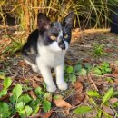 인천송도국제캠핑장 이미지