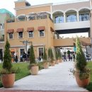 일산호수공원 가로수길 이미지