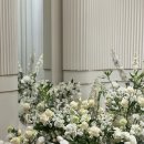 [공지] W35. 본식 아이폰 스냅 촬영 후기 레터스프롬스냅 가성비 만족스러운 퀄리티 + 할인코드