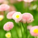 베이비시터 자격증 과정 이미지