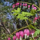 어반스케치(기초) 이미지