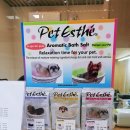 한강펫살롱 이미지