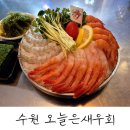 오늘은 회 | 수원 호매실 생새우회 맛집 내돈내산 후기 : 오늘은새우회 본점