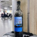 제주연안 연산호 군락지 | 우도 가볼 만한 곳 제주도 우도 잠수함 바닷속 체험