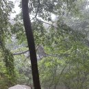 _나루터로2-9_ 이미지