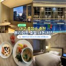 세븐일레븐 무교점 | 대구 호캉스 추천 메리어트 호텔 디럭스 킹 조식 수영장
