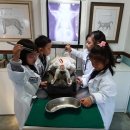 소풍동물병원 이미지