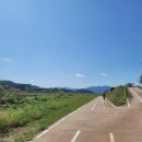 요천제방길 이미지