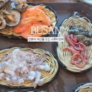 나루터연화 이미지