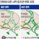 턱 밑 목 부분을 자주 마사지해주세요 @@예방 이미지