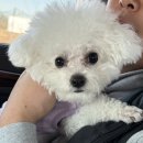 희현목장 | 제주도 | 겨울과 봄 사이의 제주도 3박 4일 여행 - 1