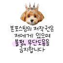 라퓨클레르 동물피부클리닉 이미지