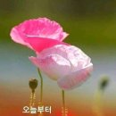 좋은세상좋은사람 이미지