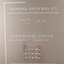 집현전어린이집 | 한글날을 맞아 국립한글박물관 후기