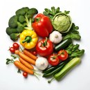 송파내안에의원 이미지