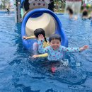수진상회 | 고흥 썬밸리 리조트, 아이들과 가기 좋은 곳!