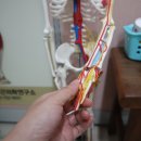 박혜경 에스테틱 | 가야 전신관리 잘하는곳 박혜경 에스테틱 덕분에 몸이 가뿐!