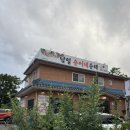 남일 | 청주 남일 순이네순대 후기(feat.내돈내산 솔직한 후기)