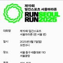청계스포츠 | Run Seoul Run 2025 마라톤대회 10km코스 참여후기 정보 코스 기념품