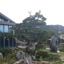 향나무식당 이미지