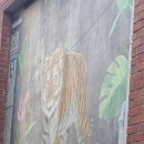 지에스25 고대으뜸 이미지