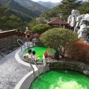 솔향이 진한 이미지