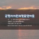 궁평리어촌체험휴양마을 이미지
