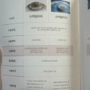 안녕 안경 이미지