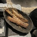 1359펜션민박 | 2024 제주여행🏝️ Day3 ~ Day4